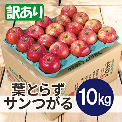 【ふるさと納税】【26年9月より順次発送】平均糖度12度以上! 葉とらずサンつがる 約10kg 訳あり クール便【配送不可地域：離島・沖縄県】【1611765】 13,870円