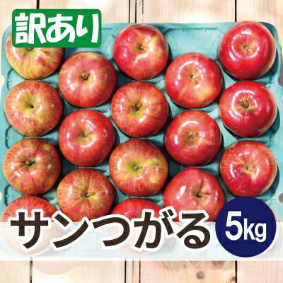 【ふるさと納税】【26年8月下旬から発送】平均糖度12度以上! サンつがる 約5kg 訳あり クール便　青森りんご【配送不可地域：離島・沖縄県】【1611778】