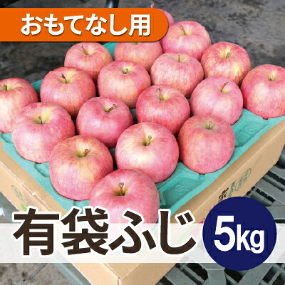 【ふるさと納税】【26年5月出荷予定】平均糖度13度以上! 有袋ふじ 約5kg おもてなし用 CA貯蔵 クール便【配送不可地域:離島・沖縄県】【1613257】