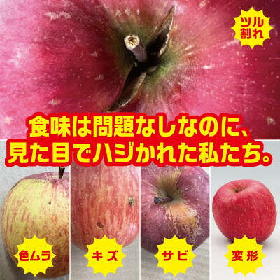 【ふるさと納税】【2026年9月末～発送開始】訳ありりんご　早生ふじ　約5Kg(12～25個入)【配送不可地域：離島】【1618832】｜青森県黒石市 7,810円