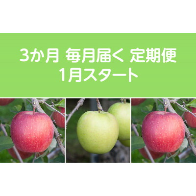 【ふるさと納税】【発送月固定定期便】〈2027年1月より順次発送〉甘味系・青森りんご約5kg 全3回【配送不可地域:離島・沖縄県】【4051697】|青森県黒石市