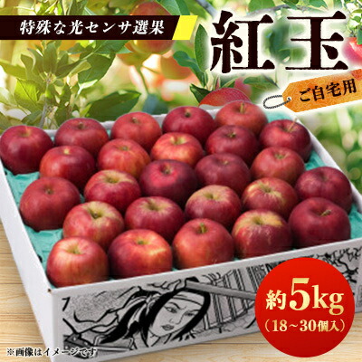 【ふるさと納税】【ご自宅用　紅玉　令和7年9月下旬～発送】約5k(18～30個入)黒昇会DB箱入　特殊な光センサ選果_ りんご 紅玉 林檎 リンゴ 青森県 光センサー 果物 くだもの フルーツ デザート 調理用 お菓子作り【配送不可地域：離島】【1328602】
