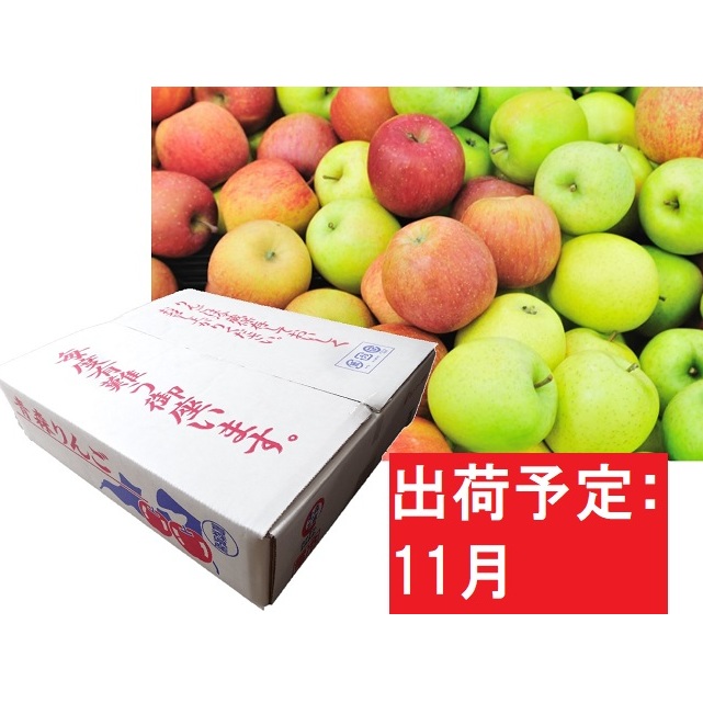 最高級 約5kg 青森産 りんご 訳あり フルーツ 果物 品種おまかせ1種 訳あり 果物類 林檎 りんご リンゴ 11月発送 ふるさと納税 お届け 21年11月1日 21年11月30日 青森県五所川原市 青森 県五所川原市