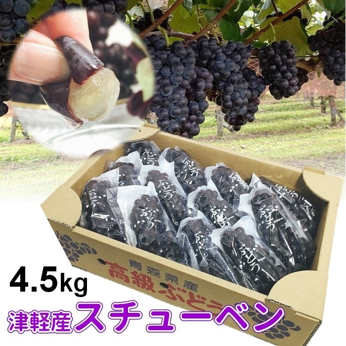 【楽天市場】【ふるさと納税】【年明け】青森ぶどう スチューベン大きさ不揃い家庭用約4.5kg 【果物・ぶどう