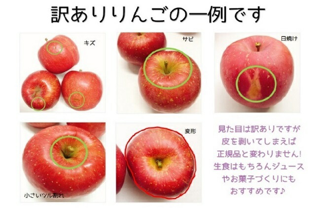 最安値挑戦 楽天市場 ふるさと納税 訳あり 7月 りんご 10kg程度 青森産 有袋ふじ 果物類 林檎 りんご リンゴ 約10kg 訳あり お届け 21年7月1日 21年7月日 青森県五所川原市 輝く高品質な Lexusoman Com