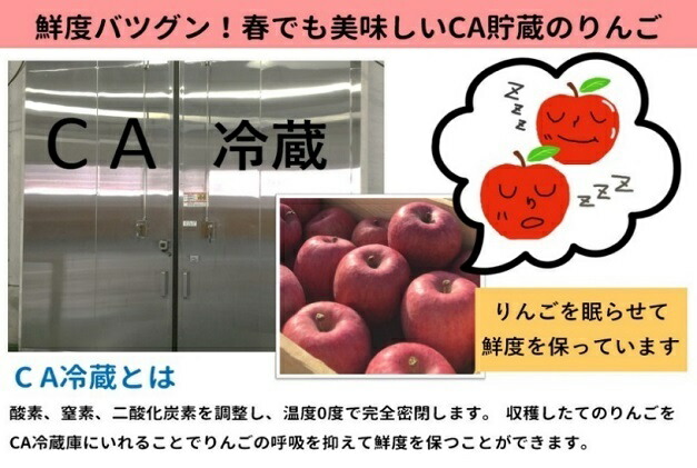 全日本送料無料 楽天市場 ふるさと納税 訳あり 5月 りんご 16kg程度 青森産 有袋ふじ 果物類 林檎 りんご リンゴ 約16kg 訳あり お届け 21年5月10日 21年5月31日 青森県五所川原市 メーカー包装済 Lexusoman Com