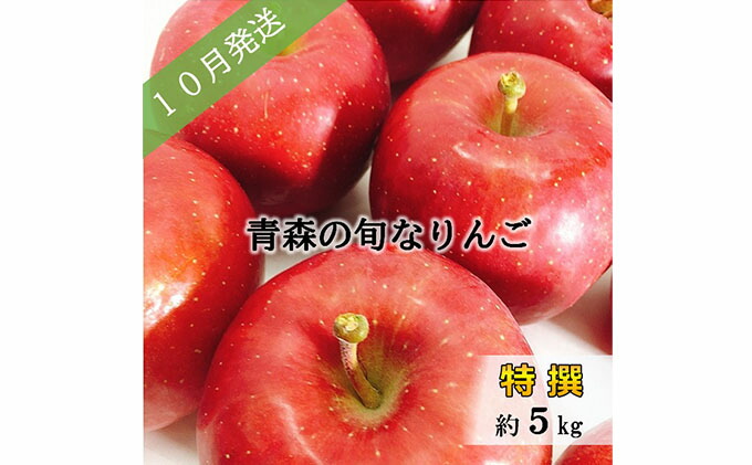 ふるさと納税 先行予約 10月 旬の美味しいりんご特選約5kg おまかせ1品種 青森りんご 果物類 林檎 りんご リンゴ 約5kg フルーツ お届け 21年10月1日 21年10月31日 Salon Raquet De