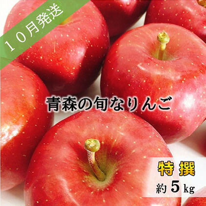 ふるさと納税 末々予ほとんど 10お月様 時節の綺麗林檎特選約5kg おまかせ1変種 青森りんご 果物形態 林檎 りんご リンゴ 約5kg フルーツ お届け 21老齢10月1日付け 21年10月31日 Casavivatienda Com