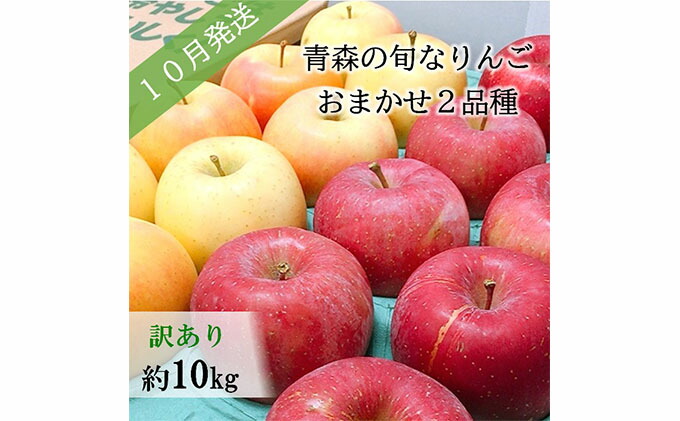 ふるさと納税 先行予約 訳あり 10月 旬の美味しいりんご約10kg おまかせ2品種 青森りんご 果物類 林檎 りんご リンゴ フルーツ 約10kg お届け 21年10月1日 21年10月31日 Natural Gaz Org