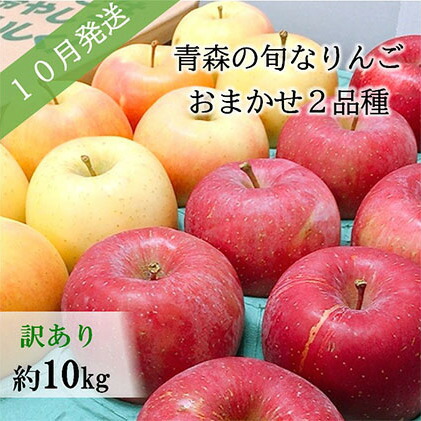 ふるさと納税 先行予約 訳あり 10月 旬の美味しいりんご約10kg おまかせ2品種 青森りんご 果物類 林檎 りんご リンゴ フルーツ 約10kg お届け 21年10月1日 21年10月31日 Tajikhome Com