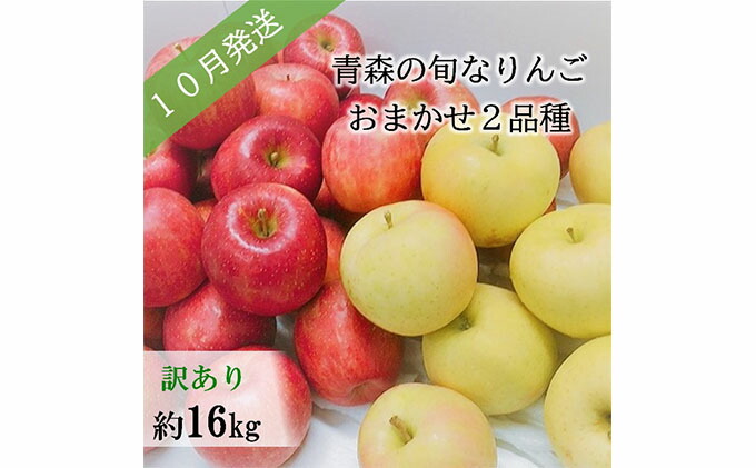 楽天市場 ふるさと納税 先行予約 訳あり 10月 旬の美味しいりんご約16kg おまかせ2品種 青森りんご 果物類 林檎 りんご リンゴ 訳あり 約16kg お届け 21年10月1日 21年10月31日 青森県五所川原市