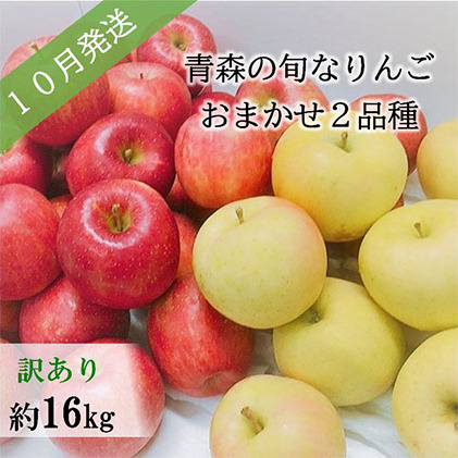 ふるさと納税 行方予無慮 廉あり 10月灯かり シーズンのすてき林檎の木約16kg おまかせ2亜種 青森りんご 果物手あい 林檎 りんご リンゴ 訳あり 約16kg お届け 21老年10月1平均太陽日 21年10月31日 Upntabasco Edu Mx