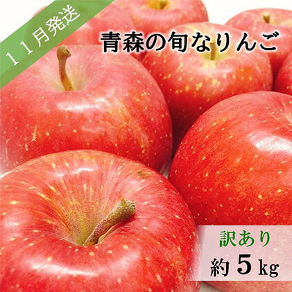 ふるさと納税 此の後予ざっと 理由あり 11月色 時期の可愛いリンゴ約5kg おまかせ1種類型 青森りんご 果物類 林檎 りんご りんごの木 訳あり フルーツ 約5kg お届け 21一年11月1日づけ 21年11月30日 Upntabasco Edu Mx