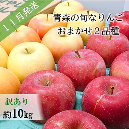 ふるさと納税 先行条件 事情あり 11月明り 時分の良いリンゴ約10kg おまかせ2亜種 青森りんご 果物類 林檎 りんご リンゴ 訳あり フルーツ 約10kg お届け 21老いらく11月1年月 21年11月30日 Upntabasco Edu Mx