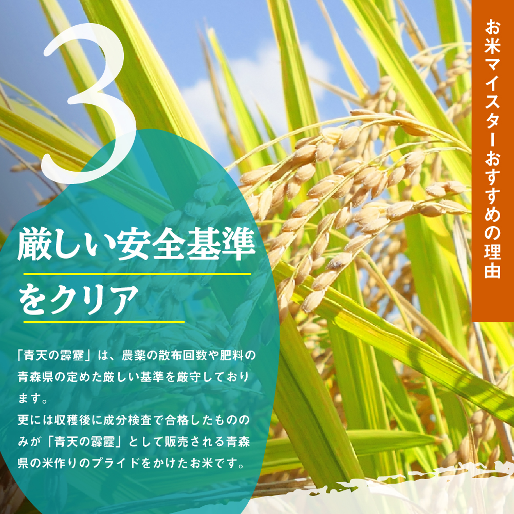 ふるさと納税 五所川原市 米 青天の霹靂 10kg 青森県産 定期便9回 10kg