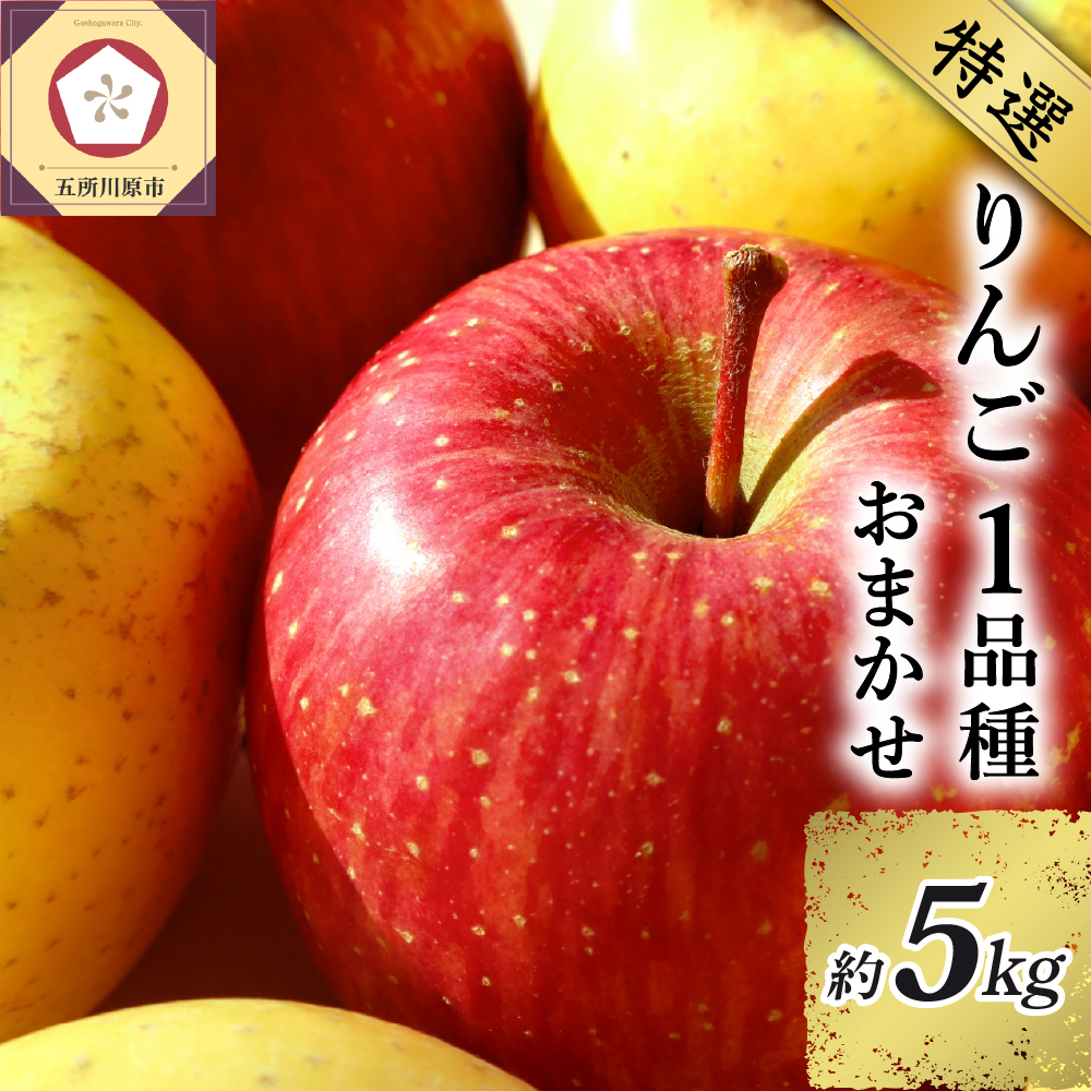 15869円 メーカー再生品 ふるさと納税 五所川原市 旬の美味しいりんご約15kg青森産