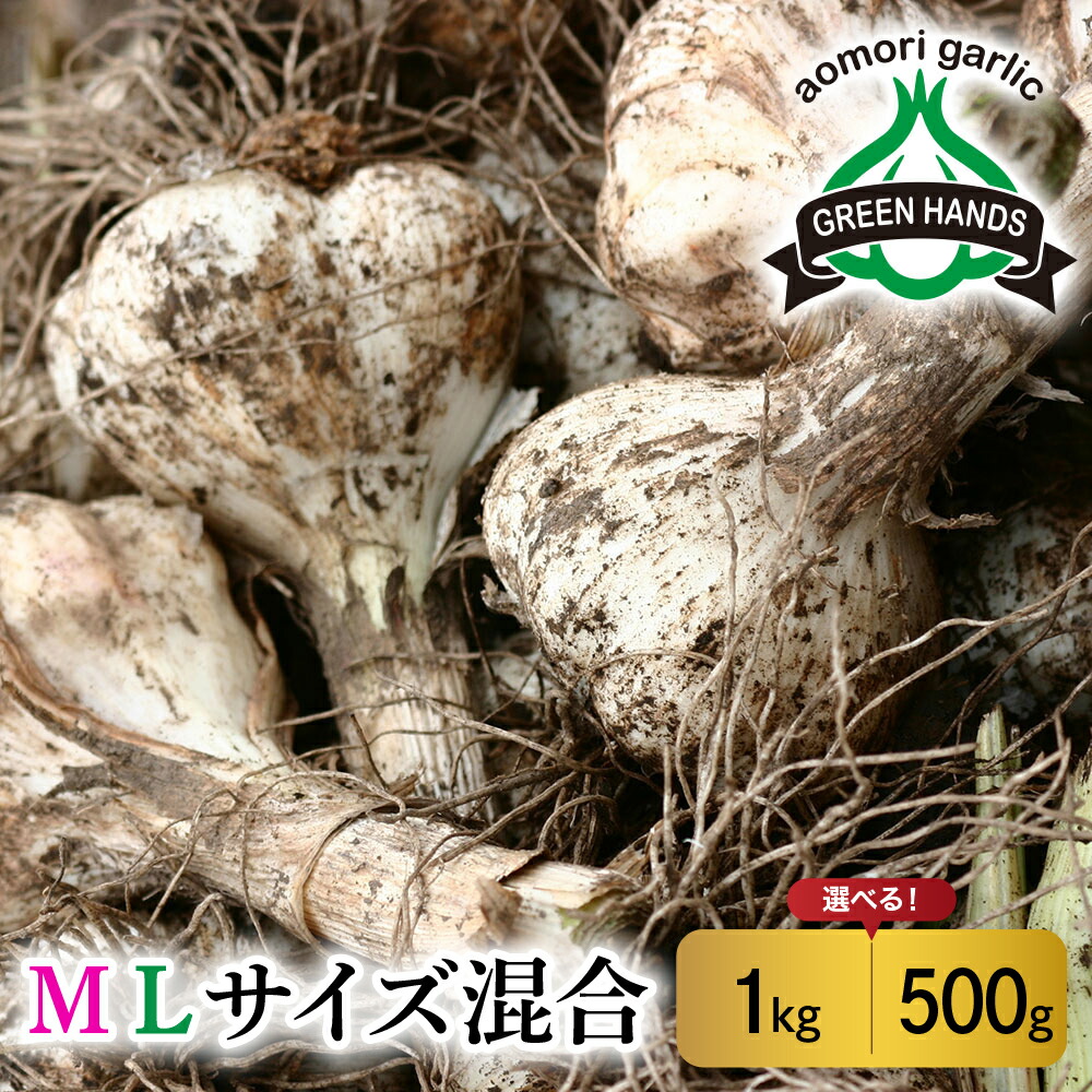 【ふるさと納税】【2025年6月下旬発送開始】掘りたて 生 にんにく 青森県産 ＭＬ サイズ混合１kg（土つき）【 ガーリック ニンニク 大蒜 五所川原 生にんにく 生ニンニク 】 先行予約