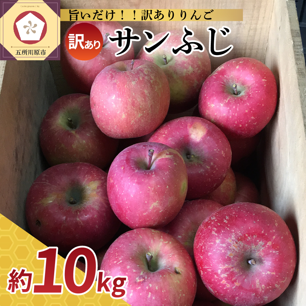 爆買い！】 りんご サンふじ 10kg 青森 fucoa.cl