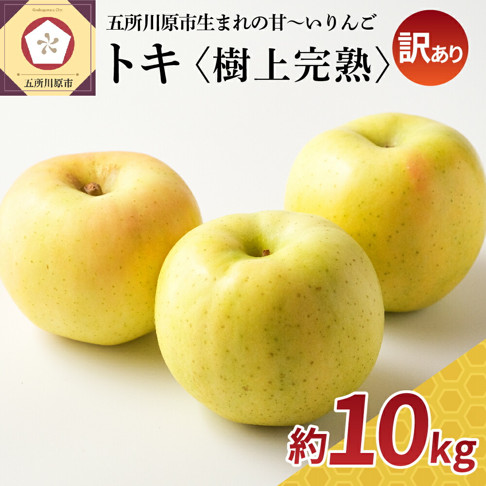 最大55％オフ！ 訳あり りんご 10kg 青森 10月 トキ fucoa.cl