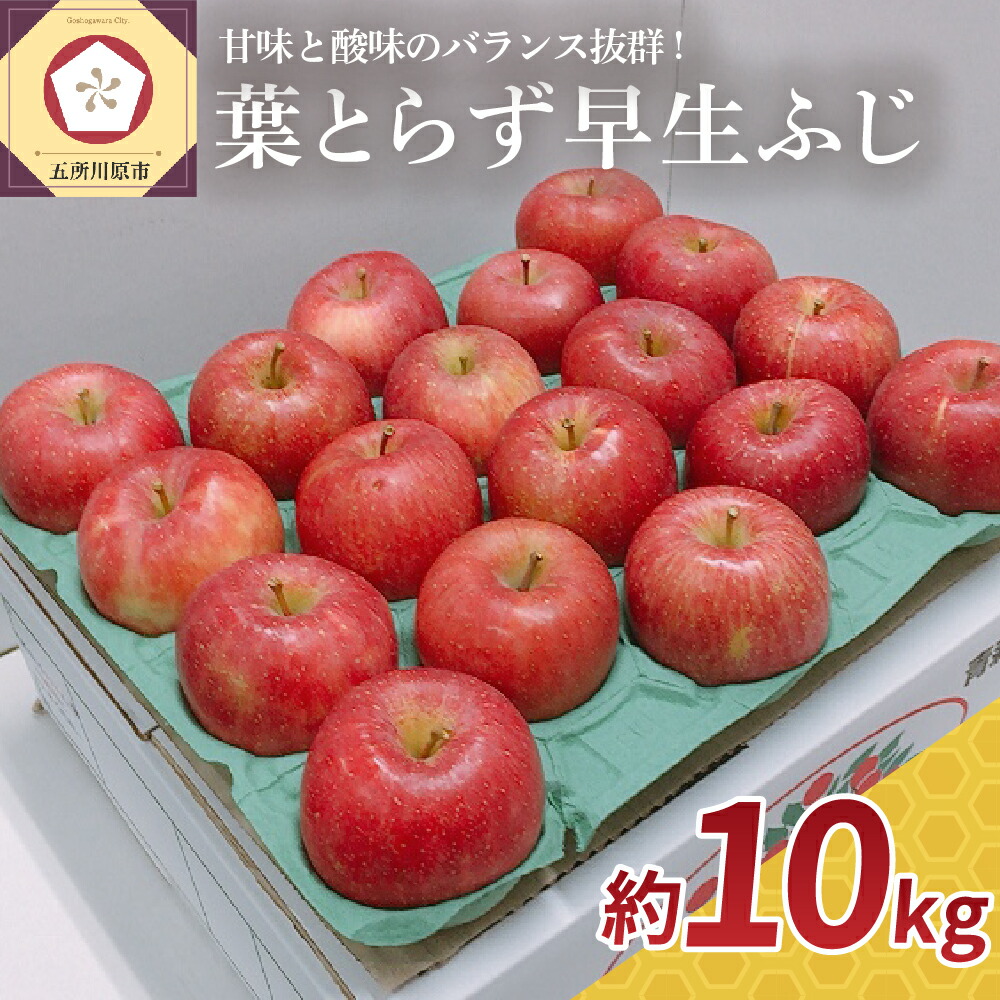 最大65％オフ！ 葉とらず りんご 早生 ふじ 約 10kg 青森 産 fucoa.cl