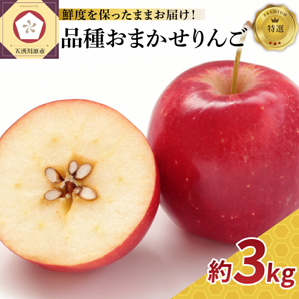 【ふるさと納税】特撰 りんご 約3kg 品種おまかせ （ ふじ 又は サンふじ ） 【発送時期が選べる】  丸かじりサイズ 青森  【 スマートフレッシュ 貯蔵 または CA貯蔵 】特選 青森県 津軽地方 五所川原市産 林檎 人気 果物 フルーツ