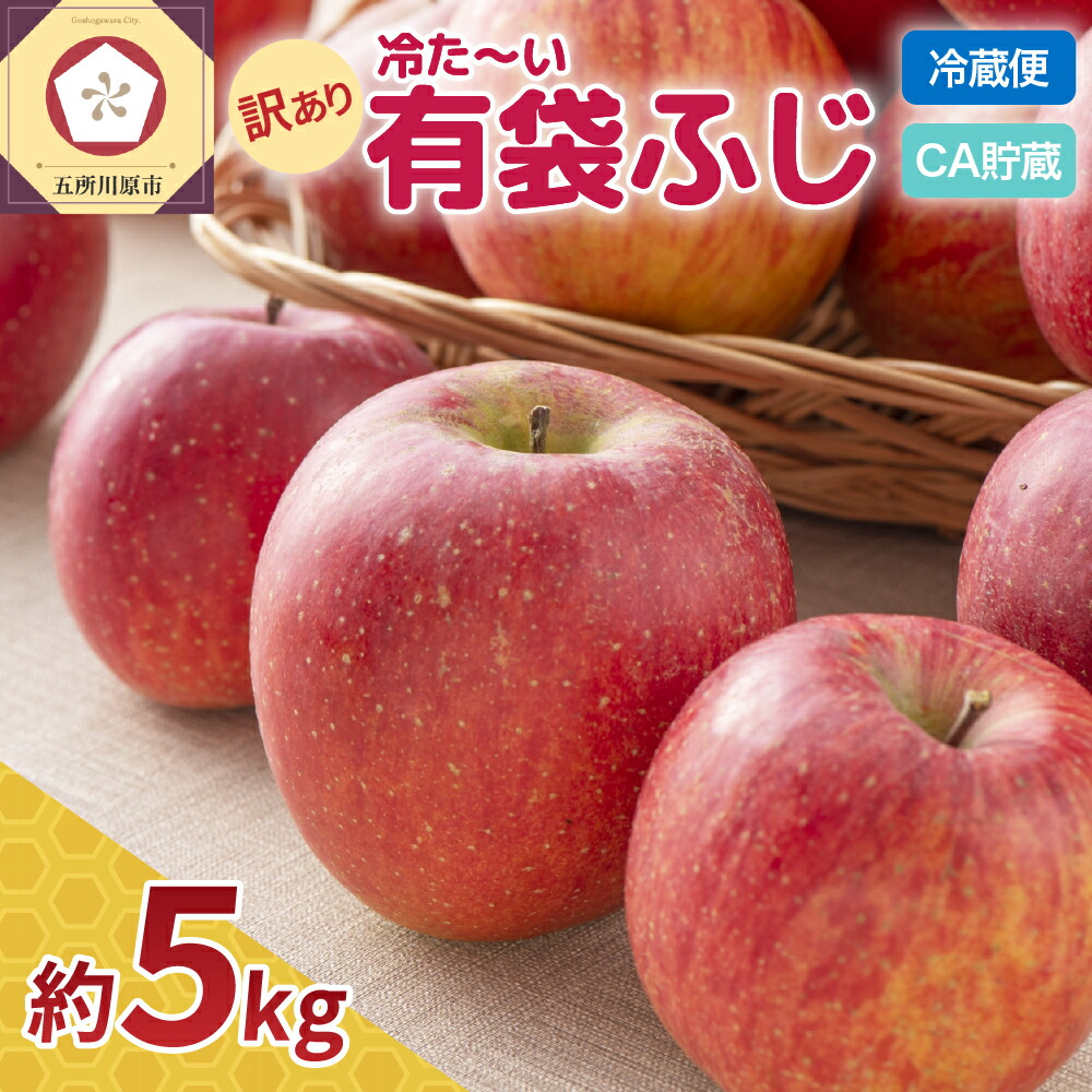 【ふるさと納税】【発送時期が選べる】CA貯蔵 冷た～い有袋ふじ 青森産 約5kg クール便【 有袋栽培 CA貯蔵 クール便 果物類 林檎 リンゴ ふじりんご 家庭用 フルーツ 果物 青森 五所川原 】