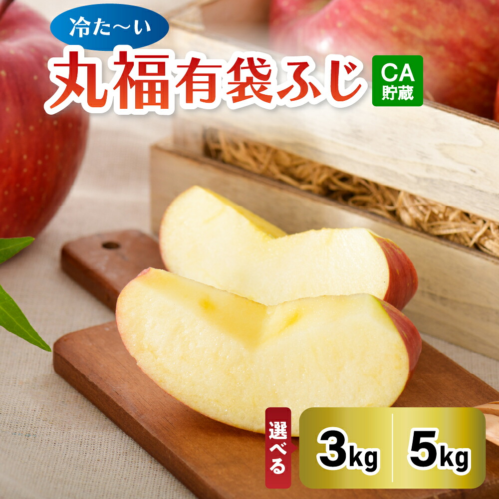 【ふるさと納税】 りんご 約 3kg 5kg 程度 CA貯蔵 クール便 【選べる配送時期】 丸福 規格 有袋ふじ 冷た～い青森県産 CA貯蔵 有袋の フジ （ 5月 6月 発送 ）【 ふじりんご リンゴ 青森りんご 林檎 送料無料 】 青森県 五所川原市