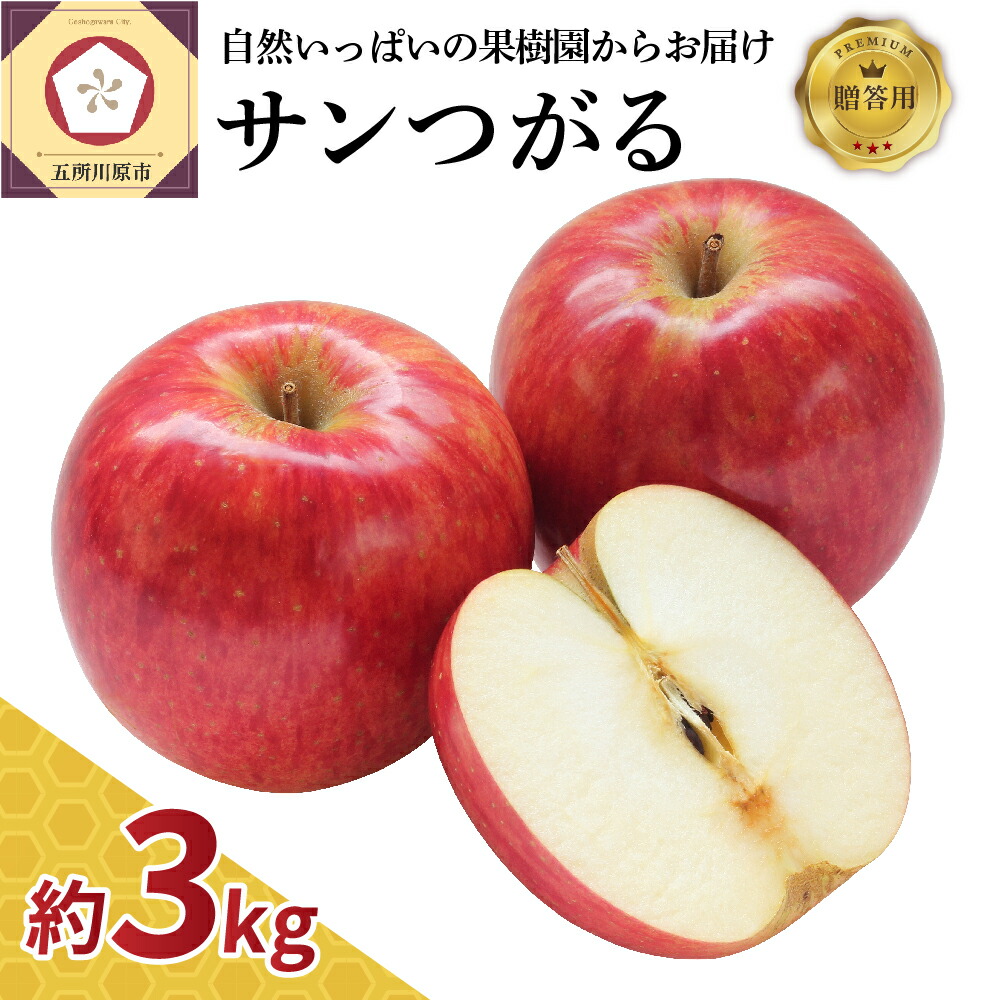 週間売れ筋 りんご 約 3kg 青森 9月 サンつがる 贈答用 農家直送 クール便 fucoa.cl