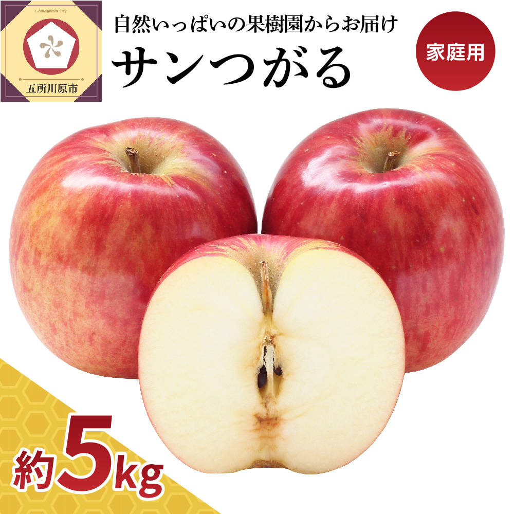 驚きの値段で りんご 約 5kg 青森9月 サンつがる 家庭用 農家直送 クール便 Fucoa Cl
