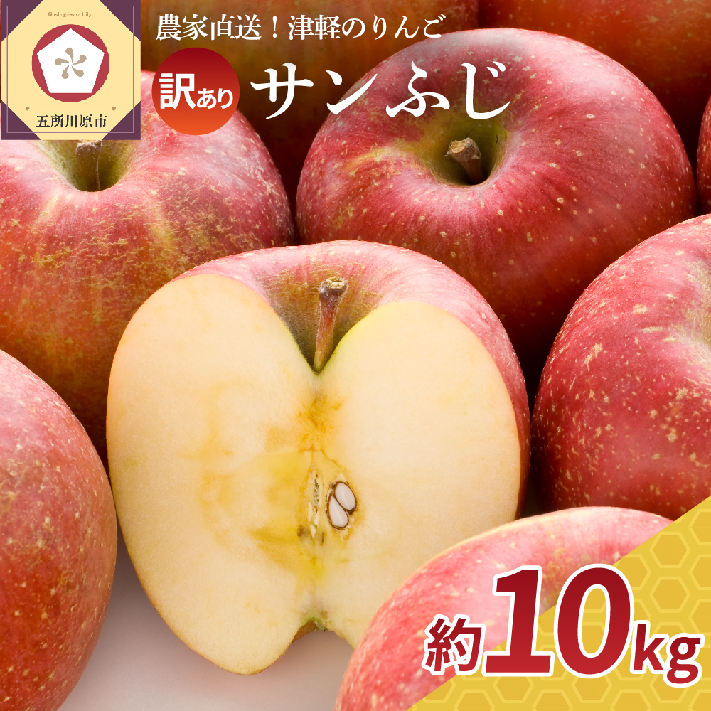 初回限定お試し価格 りんご 10kg 訳あり 青森 サンふじ Fucoa Cl