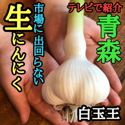 【ふるさと納税】青森生にんにく18玉★年に1度、収穫時期しか食べられない逸品です★【配送不可地域：離島】【1619316】