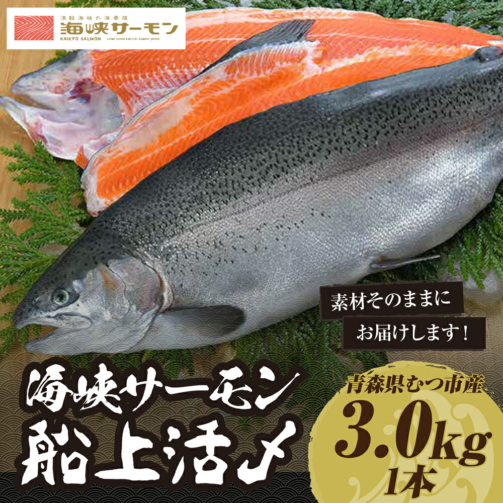 【ふるさと納税】【期間限定発送】海峡サーモン船上活〆3.0kg1本 (冷蔵)　むつ市 サーモン 刺身【配送不可地域：離島】サーモン 鮭 さけ サケ 海鮮