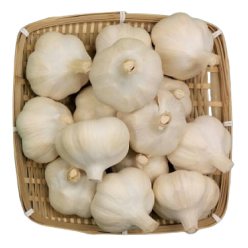 【ふるさと納税】青森県むつ市産にんにく(L～LL)1kg ニンニク にんにく 青森