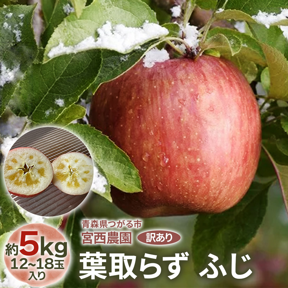 【ふるさと納税】[訳あり] 葉取らず ふじ【約5kg 12から18玉入り】｜令和7年 2025年 訳アリ 訳あり 家庭用 青森産 津軽 つがる りんご リンゴ 果物 フルーツ フジ [0690]