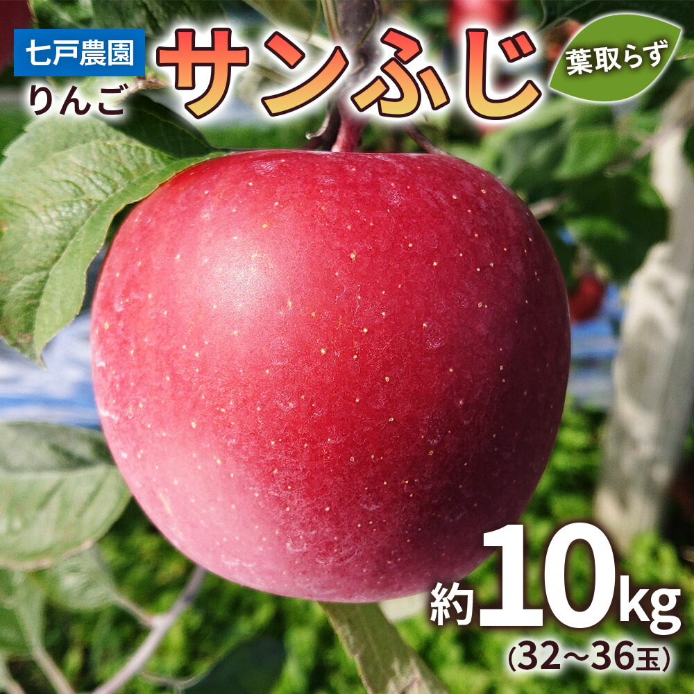 【ふるさと納税】りんご サンふじ 葉取らず 約10kg(32から36玉) 青森産 つがる市【2025年11月下旬より順次発送】｜青森県産 津軽 リンゴ りんご 葉とらず 青森りんご 果物 フルーツ 2025年産 令和7年産 [0832]