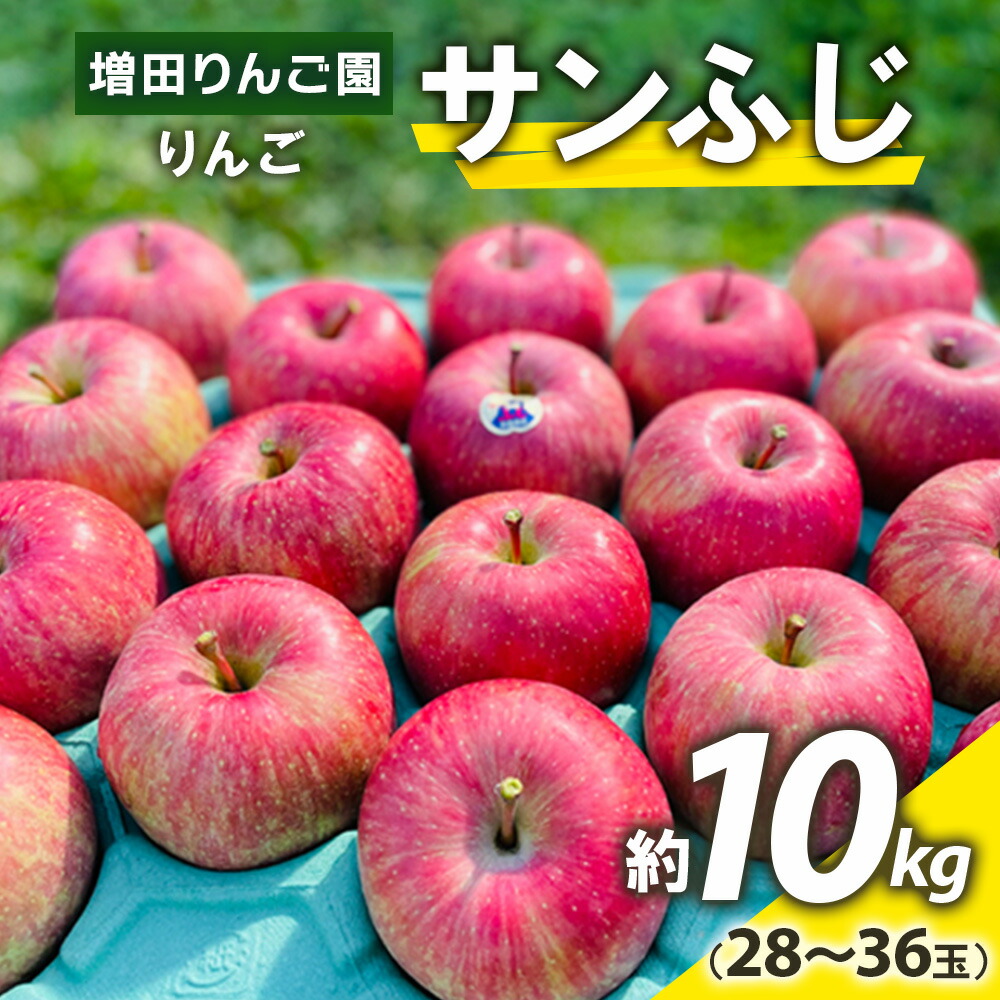 【ふるさと納税】りんご サンふじ 約10kg (28玉から36玉) 青森産 つがる市【2025年11月下旬より順次発送】｜青森県産 津軽 つがる リンゴ 果物 フルーツ 青森 ふじ さんふじ サンフジ 令和7年 2025年 [0613]