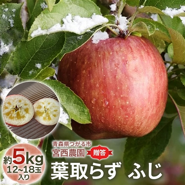 【ふるさと納税】[贈答] 葉取らずふじ【約5kg 12から18玉入り】園主選抜の特選りんご｜令和7年 2025年 ギフト 青森産 津軽 つがる りんご リンゴ 果物 フルーツ フジ [0685]