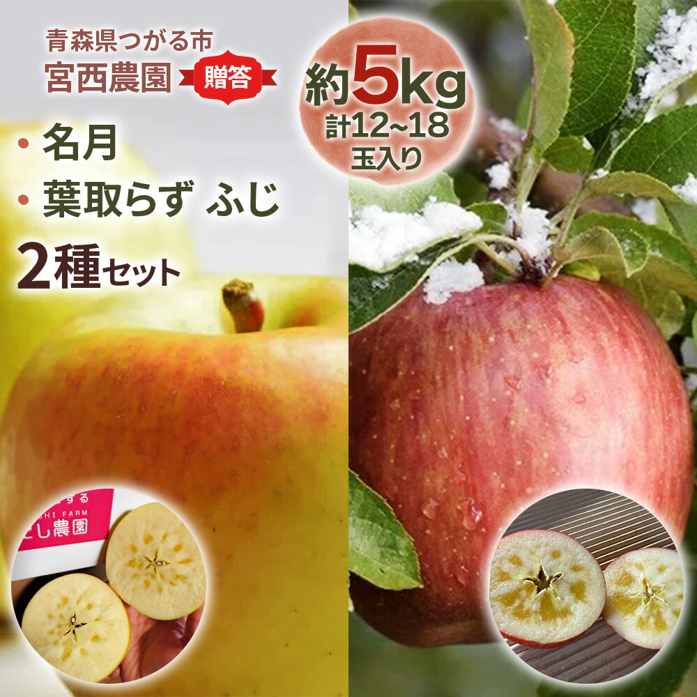 【ふるさと納税】[贈答] 名月×葉取らずふじ【約5kg 計12から18玉入り】贅沢りんご 2種セット｜令和7年 2025年 ギフト 青森産 津軽 つがる りんご リンゴ 果物 フルーツ めいげつ フジ [0686]