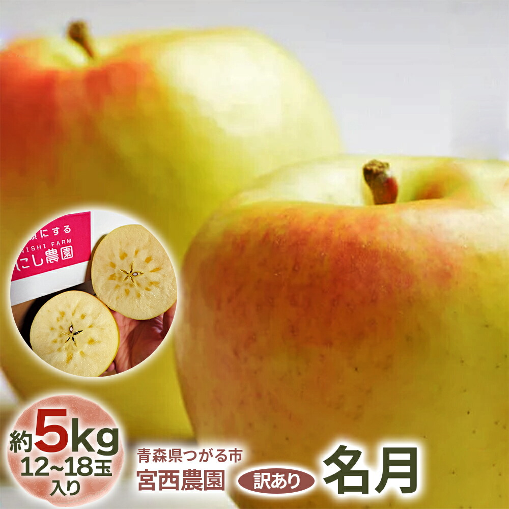 【ふるさと納税】[訳あり] 名月【約5kg 12から18玉入り】糖度15度以上のりんご｜令和7年 2025年 訳アリ 訳あり 家庭用 青森産 津軽 つがる りんご リンゴ 果物 フルーツ めいげつ [0688]