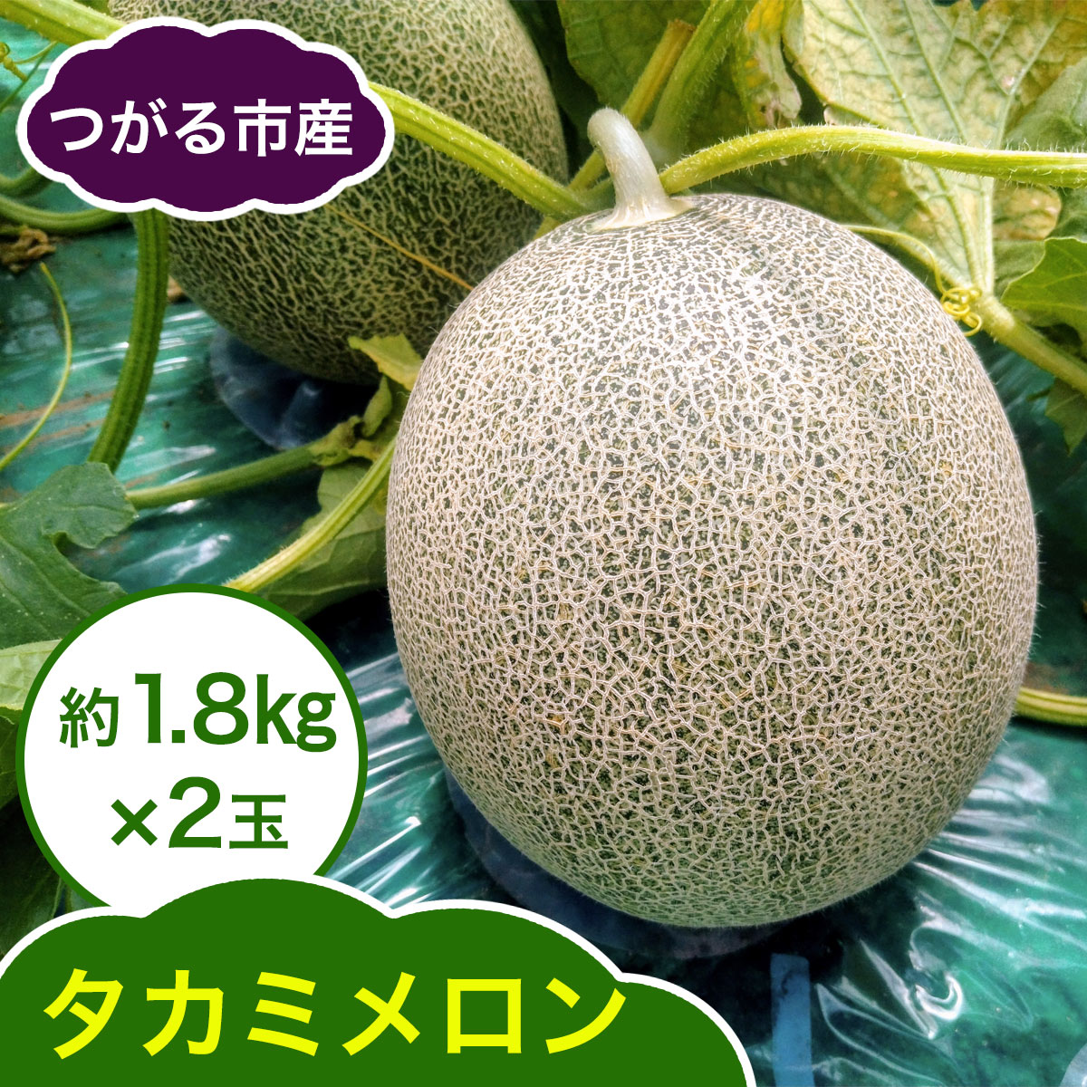 【ふるさと納税】タカミ メロン 約1.8kg&times;2玉｜2026年 令和8年 青森 津軽 つがる産 タカミ メロン めろん 特産 ジューシー 糖度 フルーツ 果物 ギフト 産直 青肉メロン 夏メロン [0858]｜青森県つがる市