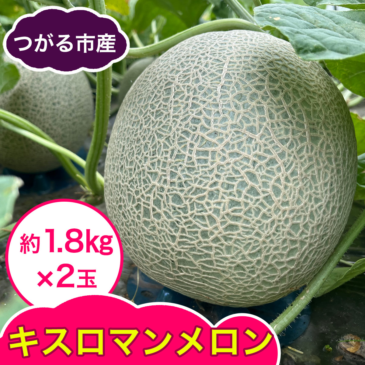【ふるさと納税】キスロマン メロン 約1.8kg&times;2玉｜2026年 令和8年 青森 津軽 つがる産 キスロマン キスミー めろん キスミーメロン 特産 ジューシー 糖度 フルーツ 果物 ギフト 産直 青肉メロン 夏メロン [0862]｜青森県つがる市