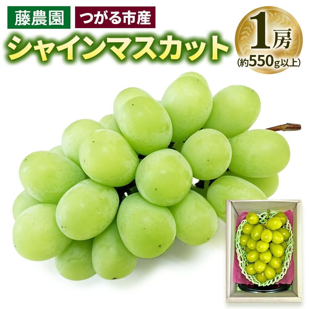 【ふるさと納税】シャインマスカット 1房 (約550g以上)糖度18度以上｜つがる市産 種なし ぶどう フルーツ 果物 贈答 青森 つがる市 藤農園 2026年産 令和8年 農福連携 [0964]｜青森県つがる市