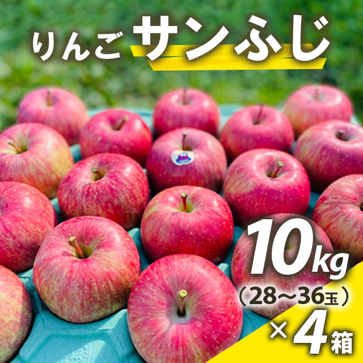 現品 りんご サンふじ10kg 28〜36玉 ×4箱 青森県産 津軽 つがる リンゴ 0063 期間 数量 限定 フルーツ 旬 果物 農家 産直 新鮮  特産品 fucoa.cl