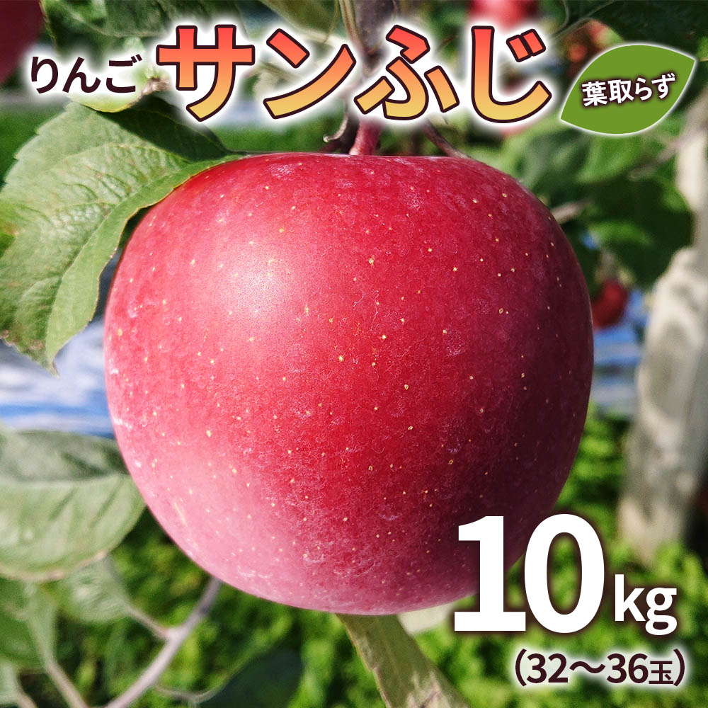 21年製 りんご サンふじ 葉取らず 10kg 32 36玉 青森県産 津軽 つがる リンゴ 0101 期間 数量 限定 フルーツ 旬 果物 農家 産直 新鮮 特産品 Fucoa Cl