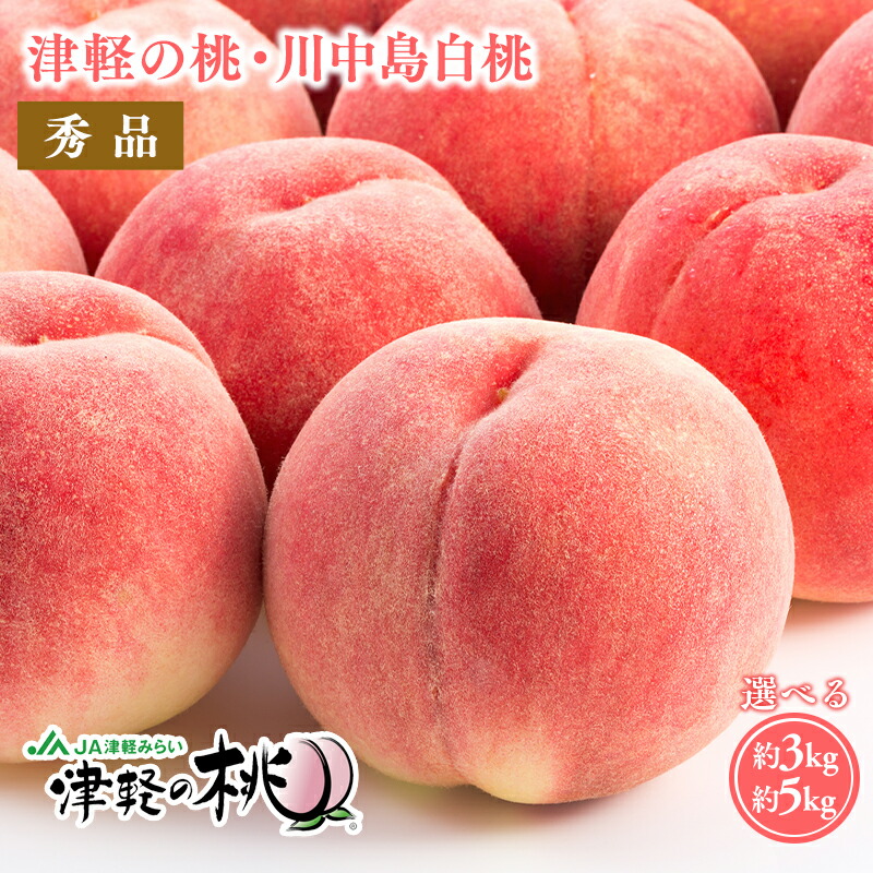 【ふるさと納税】≪8月下旬～9月中旬発送予定≫ 津軽の桃 川中島白桃 約3kg 約5kg 【青森県 平川市 津軽みらい農業協同組合】 秀品 フルーツ 果物 桃 もも モモ 白桃 ピーチ はくとう 平川市産 川中島 光センサー 贈答 お取り寄せ デザート 先行予約 レビューキャンペーン