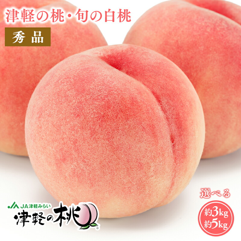 【ふるさと納税】≪8月中旬～8月下旬発送予定≫津軽の桃 旬の白桃 約3kg 約5kg 【青森県 平川市 津軽みらい農業協同組合】 秀品 フルーツ 果物 桃 もも モモ 白桃 ピーチ はくとう 平川市産 光センサー 贈答 お取り寄せ デザート 先行予約 旬 レビューキャンペーン