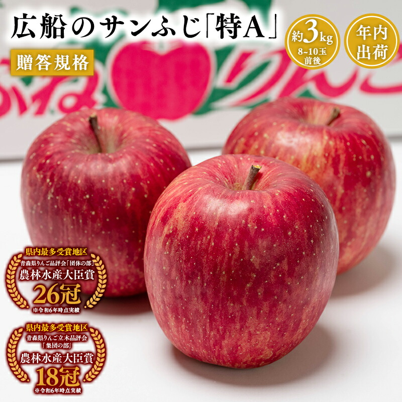 【ふるさと納税】≪年内発送≫青森県産 贈答規格 広船のサンふじ 「 特A 」約3kg【青森県 平川市 広船アップルクラブ】サンふじ ふじ 広船 年内 青森 青森県産 平川 りんご リンゴ 林檎 くだもの 果物 フルーツ｜青森県平川市