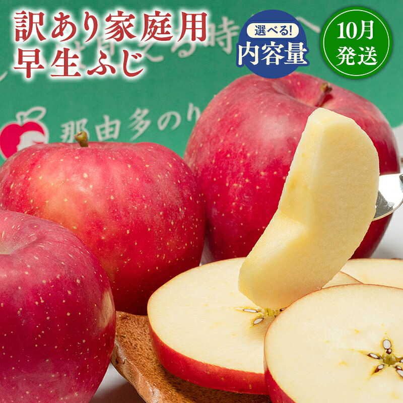 【ふるさと納税】≪内容量が選べる≫青森県産 訳あり 早生ふじ 3kg 5kg【青森県 平川市 那由多のりんご園】家庭用 10月発送 青森 青森県産 平川 りんご リンゴ 林檎 くだもの 果物 フルーツ｜青森県平川市