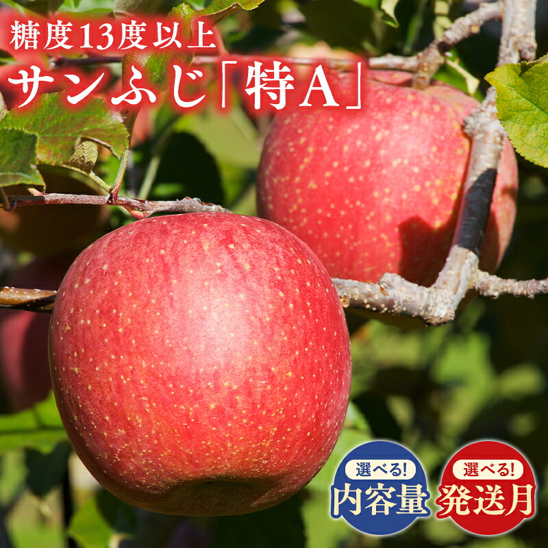 楽天市場】【ふるさと納税】≪発送月と内容量が選べる≫ 青森県産 サン