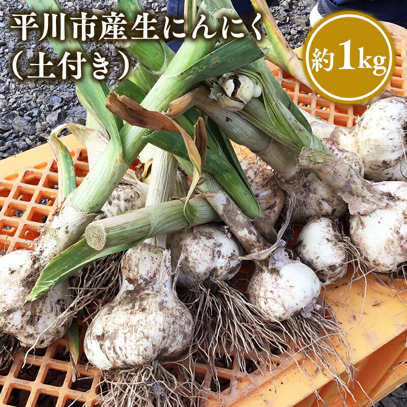 【ふるさと納税】青森県 平川市産 土付き生にんにく 約1kg【青森県 平川市 しあわせj-Farm】ニンニク 白ニンニク 生にんにく 青森県産 青森県産にんにく 野菜 やさい ガーリック レビューキャンペーン